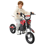iScooter A12 laste elektrijalgratas 300W