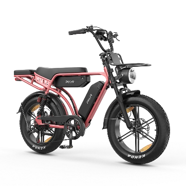PIXAR® M9 Elektrinis Dviratis 2 × 48V17.5Ah