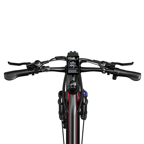 Elektriline jalgratas RANDRIDE YG90B, 1000 W mootor, maks. kiirus 45 km/h, 48 V 17 Ah