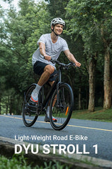 DYU Stroll 1 elektriline jalgratas 250 W 100 km