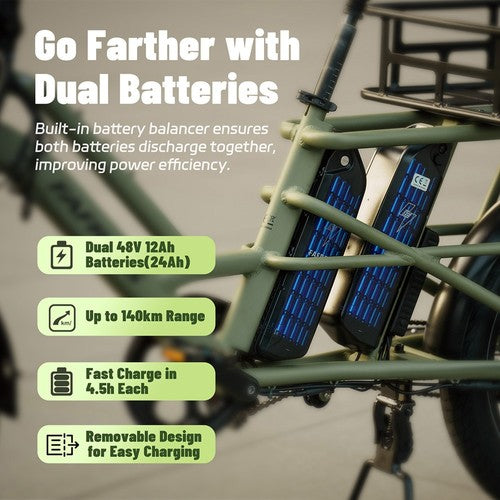 Fafrees FF20 CUV kaubaveo elektriline jalgratas, 250 W mootor, 48 V 24 Ah