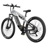 DUOTTS E29 elektriline jalgratas, Shimano hüdraulilised ketaspidurid