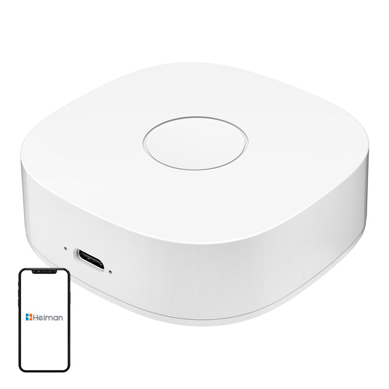 Smart home WS2GW-R WiFi