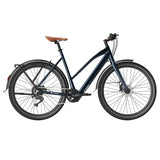 Fafrees F700W Elektriline Jalgratas 100km