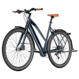 Fafrees F700W Elektriline Jalgratas 100km