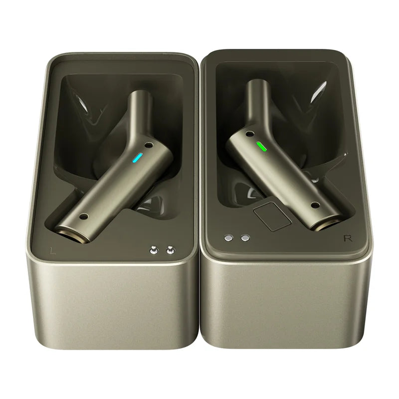 TimeKettle W4 Plus TWS Translation Earbuds (Gold)