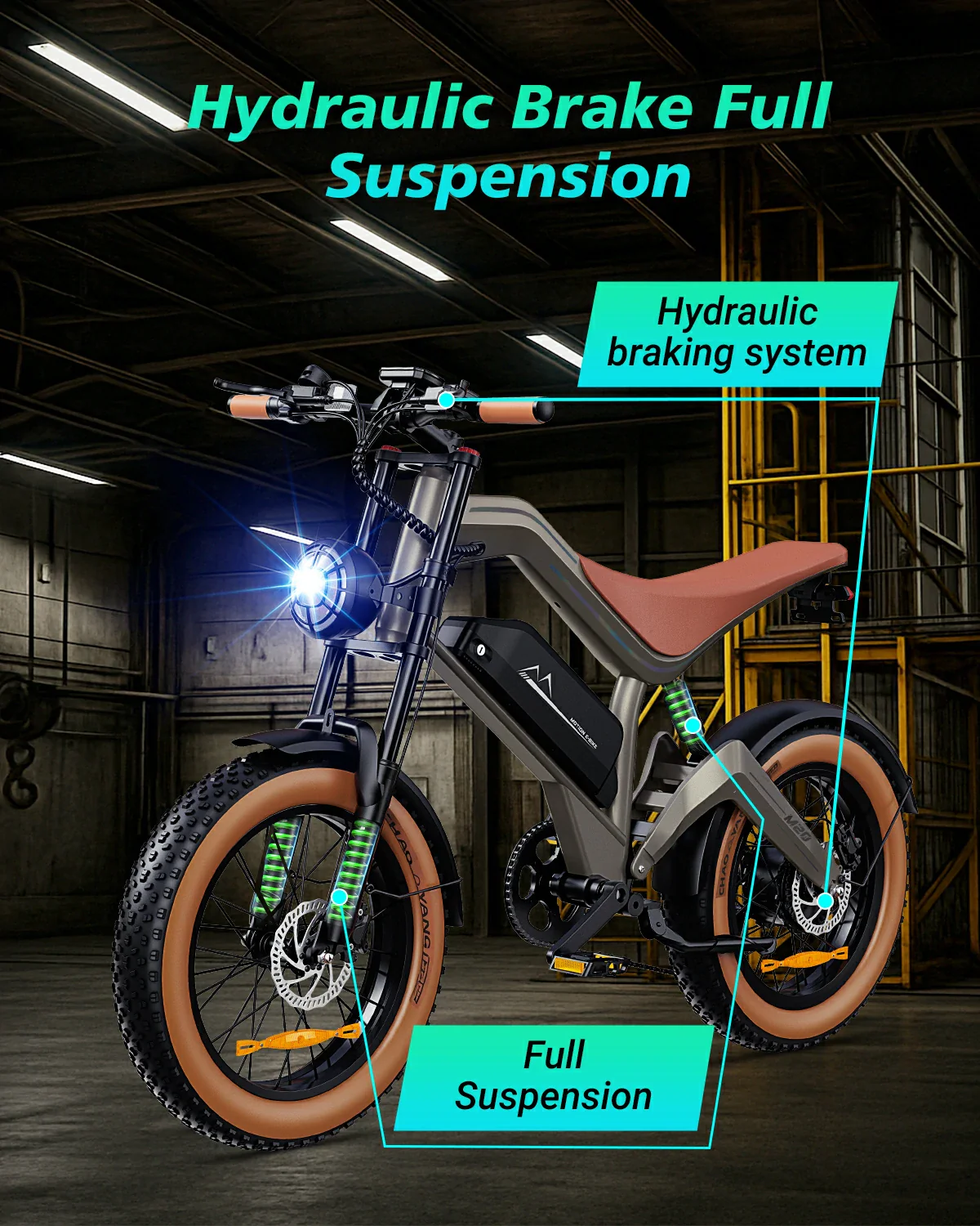 DYU M20 elektrijalgratas 750W