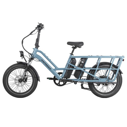 Fafrees FF20 CUV kaubaveo elektriline jalgratas, 250 W mootor, 48 V 24 Ah