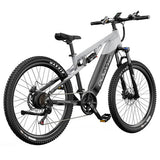 DUOTTS E29 elektriline jalgratas, Shimano hüdraulilised ketaspidurid