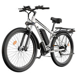 FENGQS Q8 elektrijalgratas, 750W, 50 km/h, hüdraulilised ketaspidurid