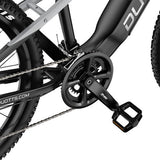 DUOTTS E29 elektriline jalgratas, Shimano hüdraulilised ketaspidurid