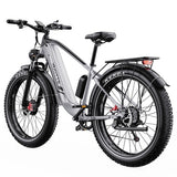 DUOTTS F26 Lite elektrijalgratas, 500 W mootor, 48 V 18 Ah