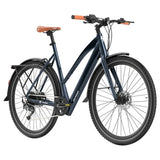 Fafrees F700W Elektriline Jalgratas 100km