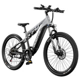 DUOTTS E29 elektriline jalgratas, Shimano hüdraulilised ketaspidurid